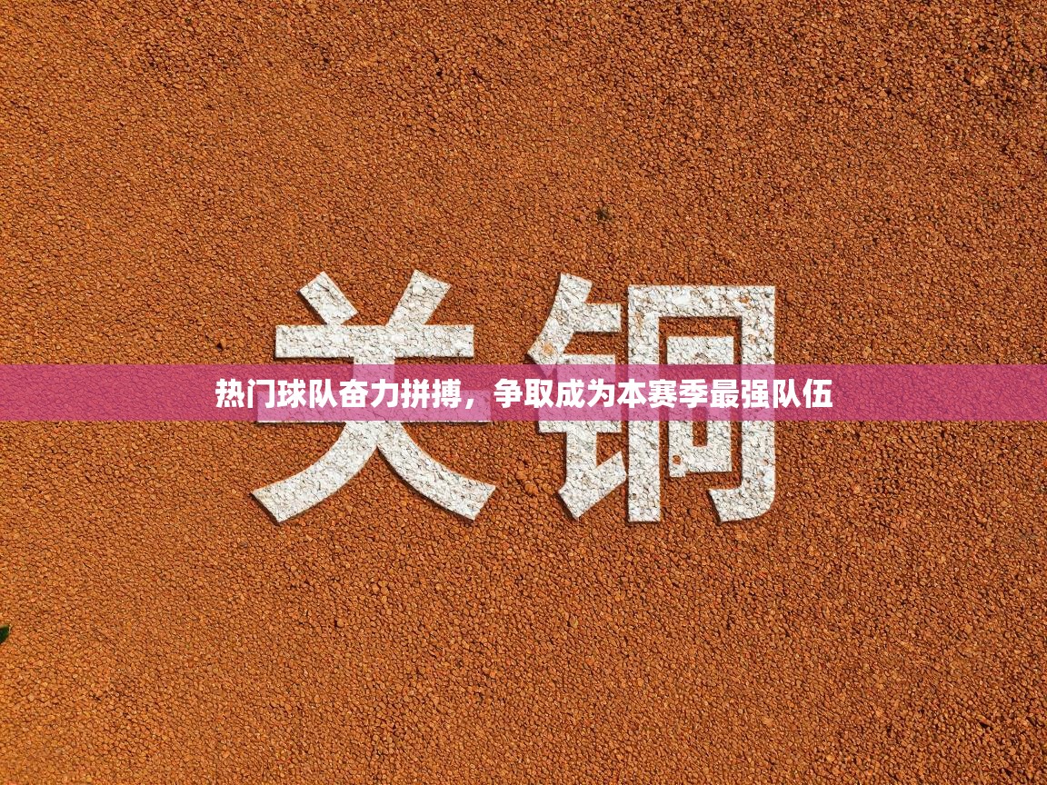 热门球队奋力拼搏，争取成为本赛季最强队伍  第1张