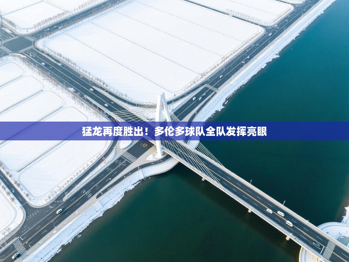 猛龙再度胜出！多伦多球队全队发挥亮眼  第1张