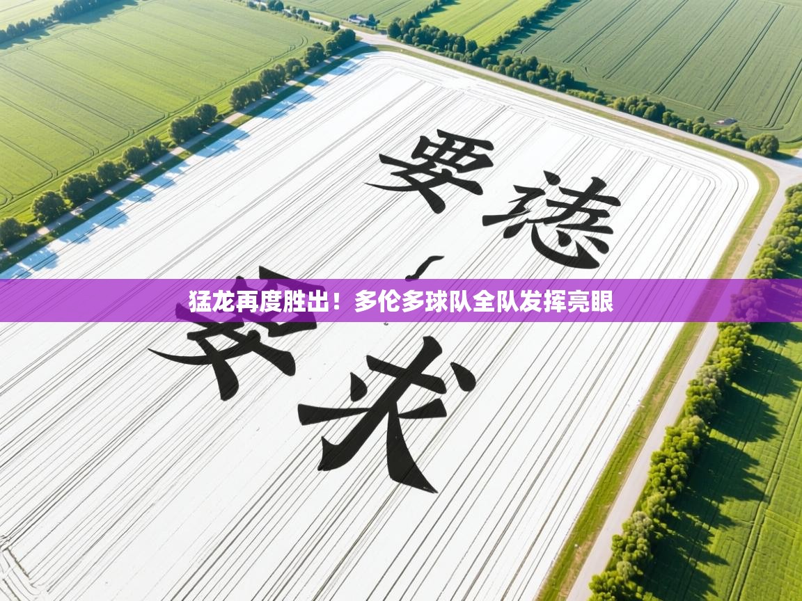 猛龙再度胜出！多伦多球队全队发挥亮眼  第2张